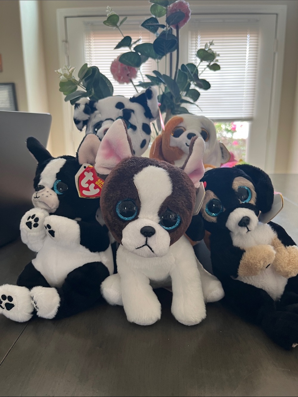Ty Plush Puppy Collection - Brown, White, Black with Sparkly Blue Eyes